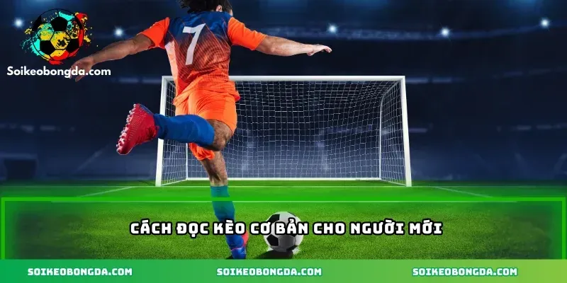 Mẹo Soi Kèo Serie A – Kinh Nghiệm Dự Đoán Tỷ Lệ Chuẩn 1 imgi 4 89 3 cach doc keo co ban cho nguoi moi