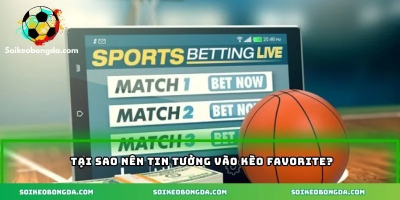 Kèo Favorite – Lựa Chọn Cá Cược Tuyệt Vời Cho Người Chơi 3 Có nên tin tưởng vào kèo cửa trên?