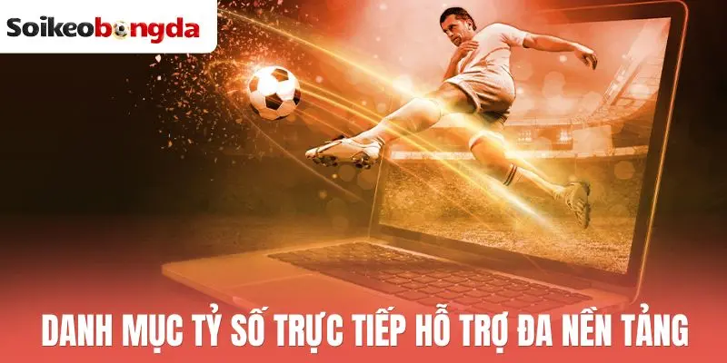Livescore 58 Danh mục tỷ số trực tiếp hỗ trợ đa nền tảng