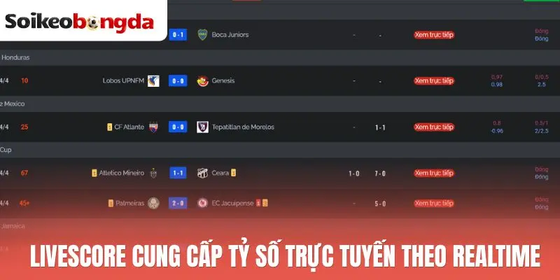 Livescore 55 Livescore cung cấp tỷ số trực tuyến theo realtime