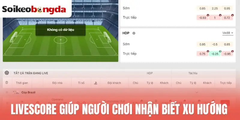 Livescore 59 Livescore giúp người chơi nhận biết xu hướng