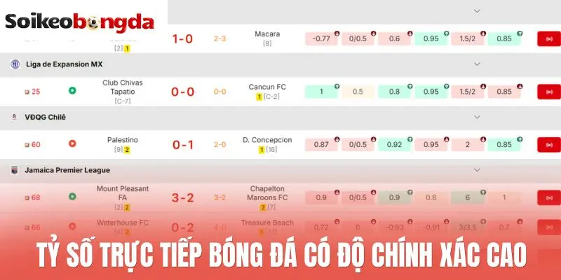 Livescore 57 Tỷ số trực tiếp bóng đá có độ chính xác cao